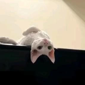 雾霾