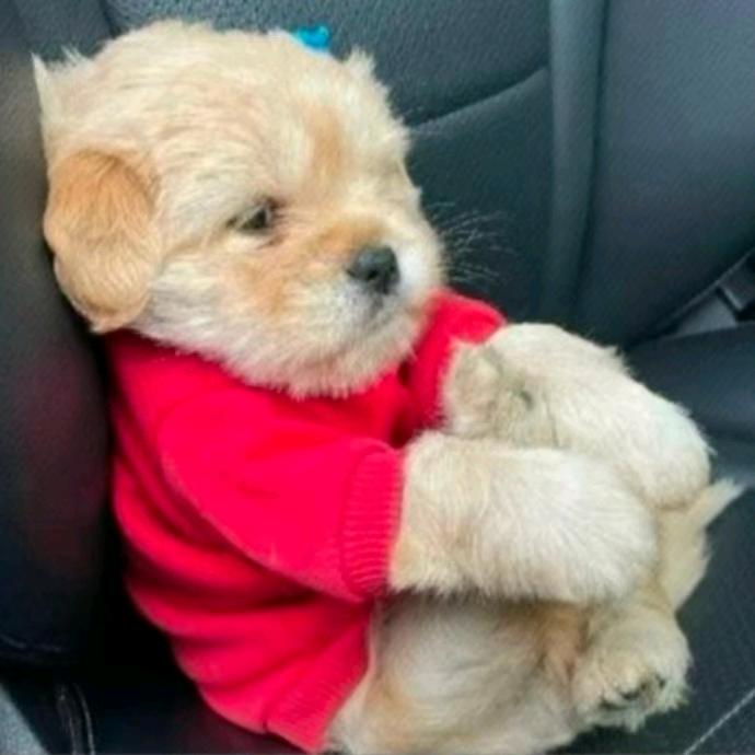 骑着蜗牛去旅行