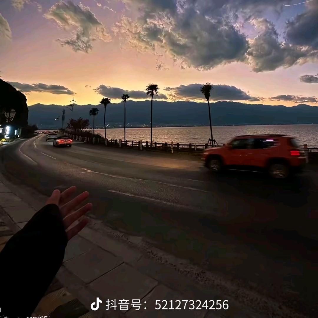 忘见秋