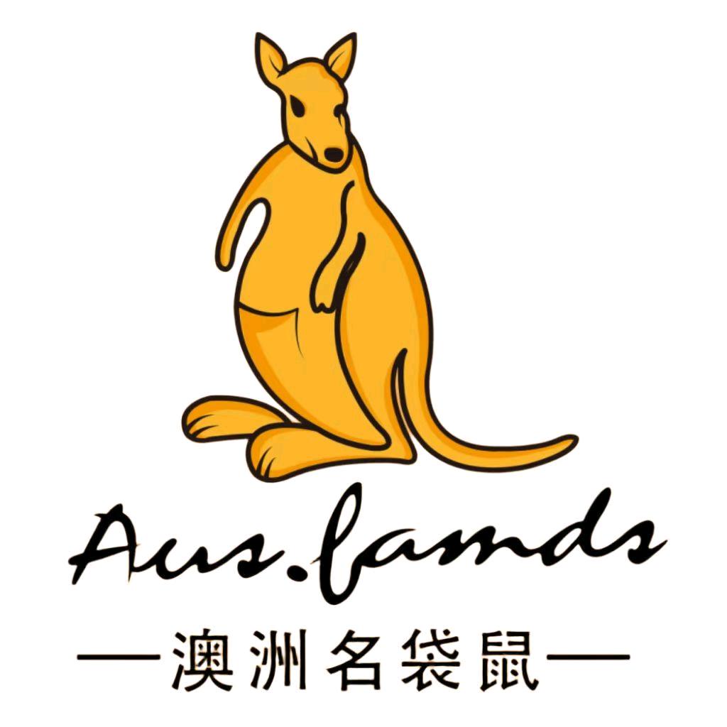 澳洲名袋鼠菲越鞋类专卖店