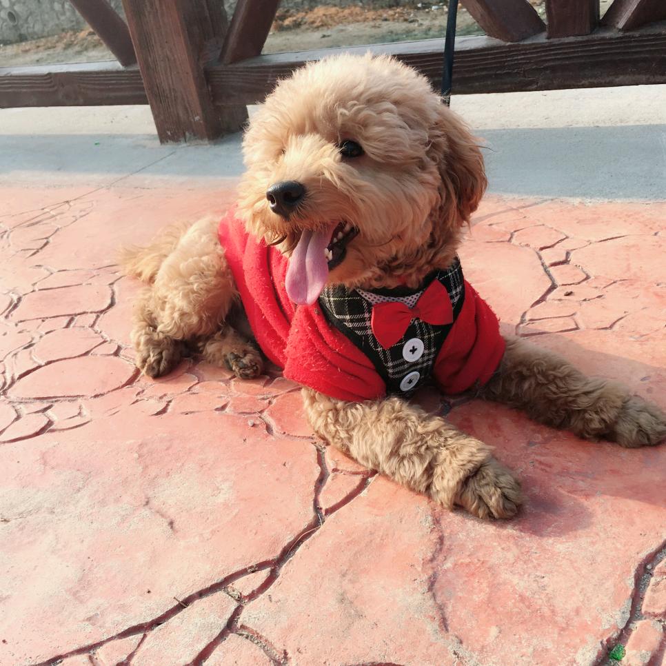 华南F3影视✨✨✨