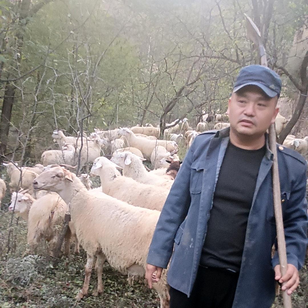 一生输赢全靠拼，风生水起靠自己！