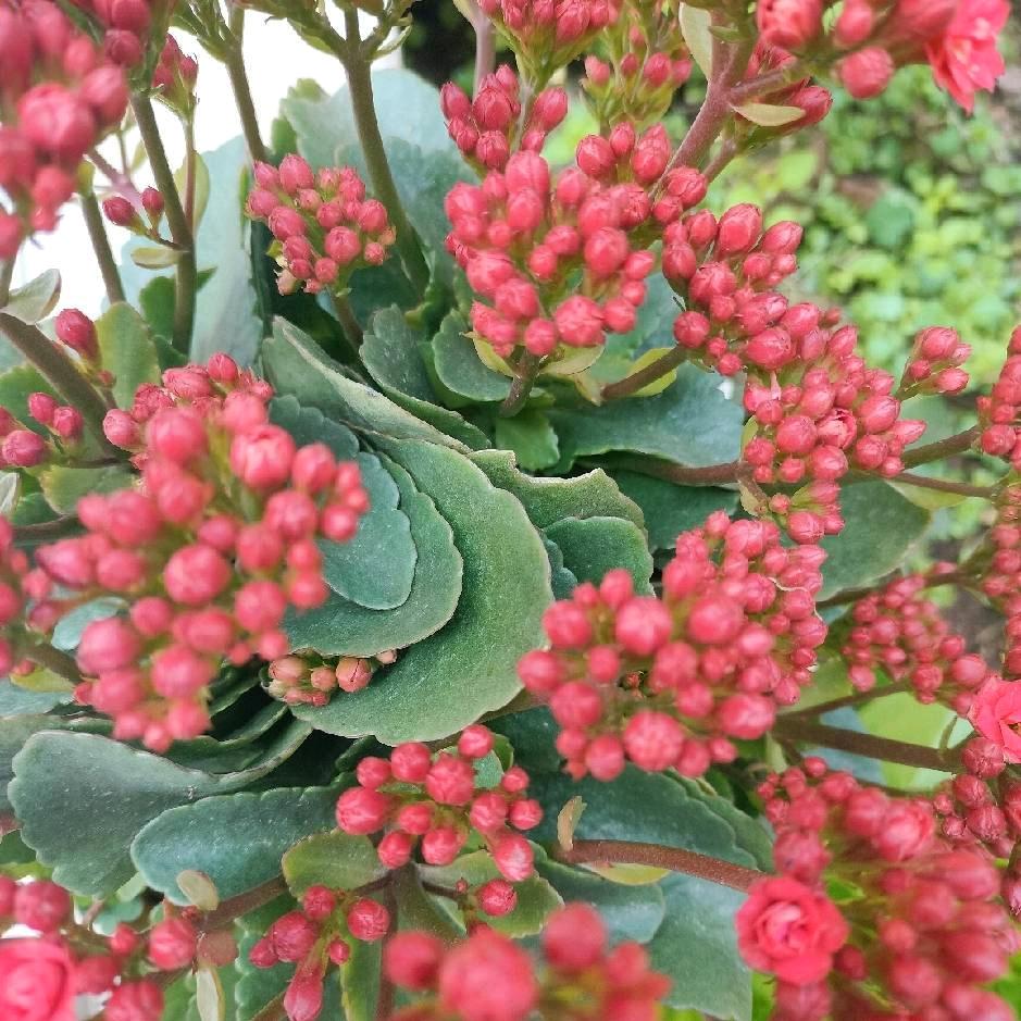 余家二妹七五年的兔太累了🐰🐰🐰🐰