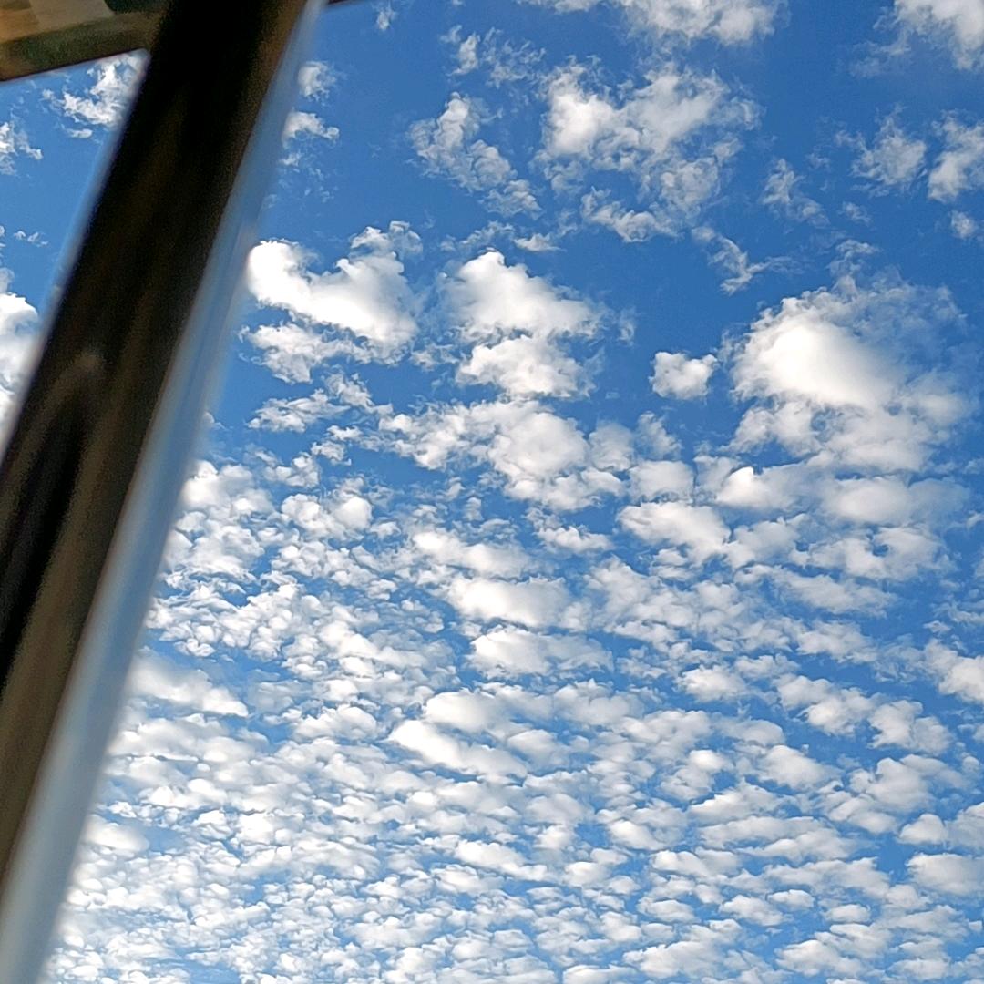 笑看人生_242293082