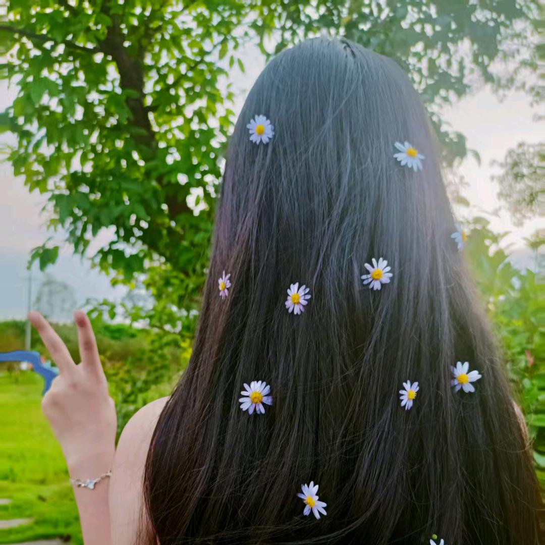 华丽丽