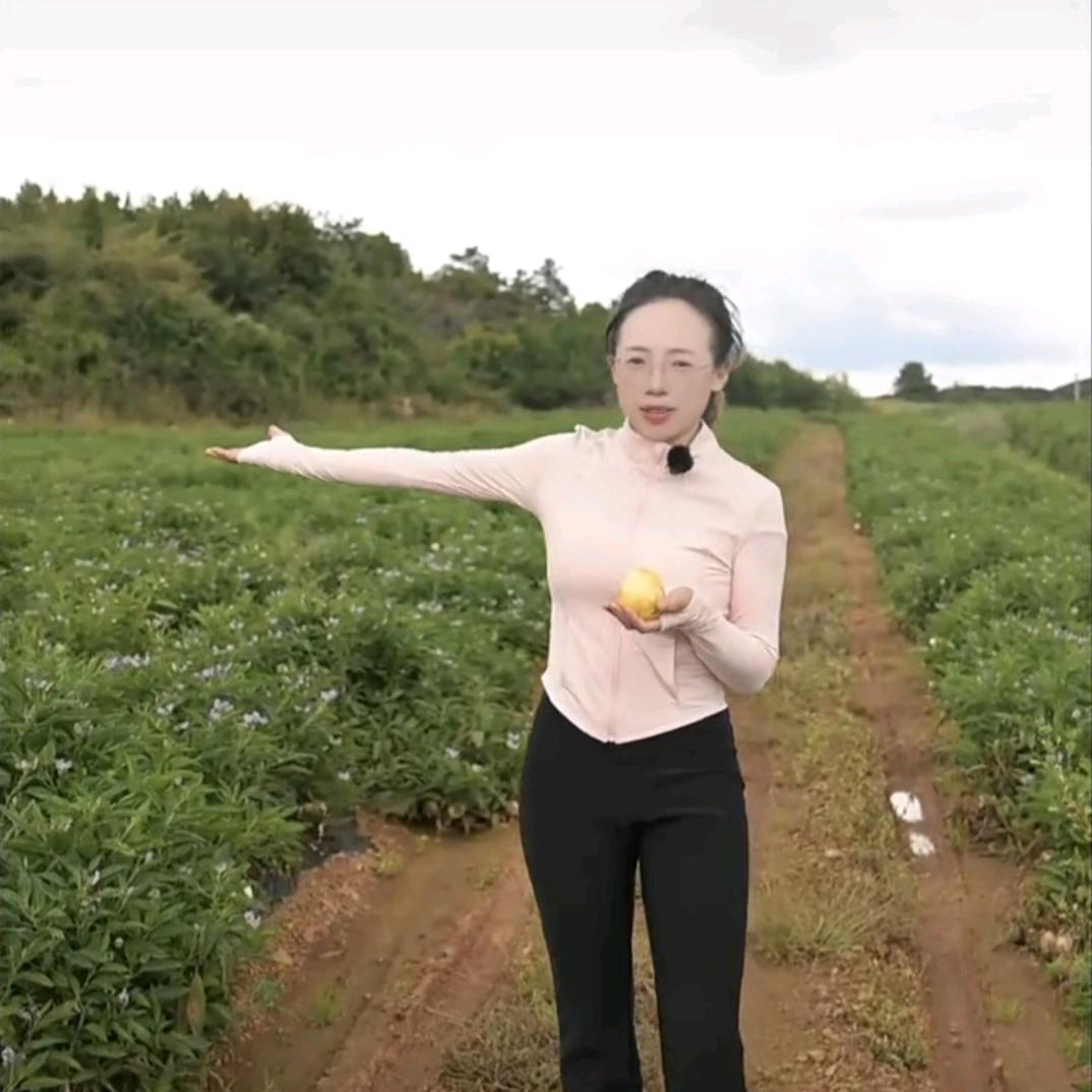 阿诗玛故乡的金果子