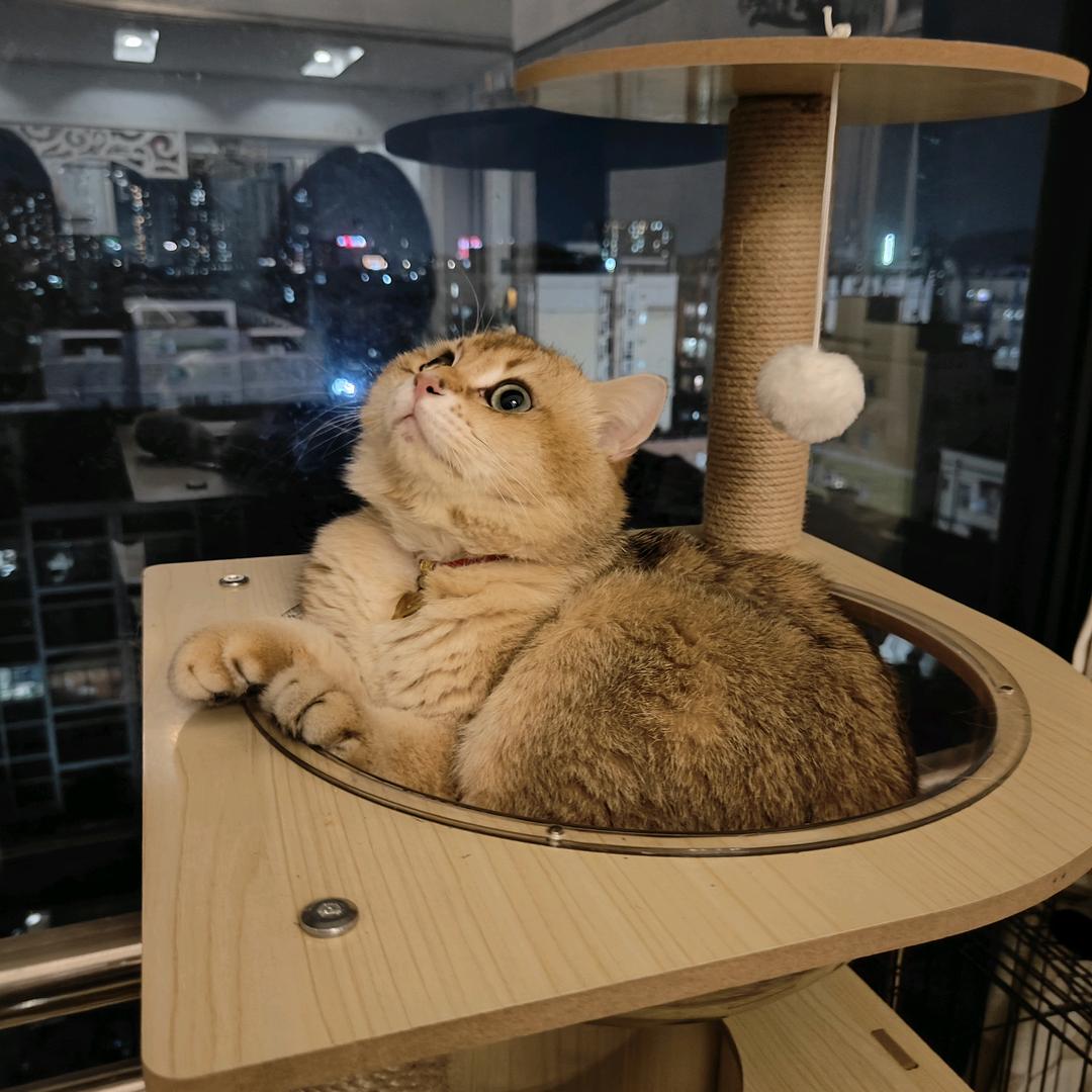 .小棠棠