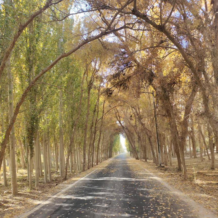 脑袋空空向前冲