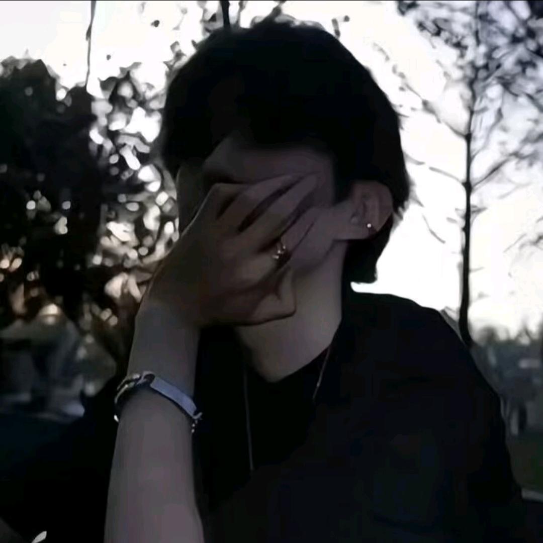 豪豪豪