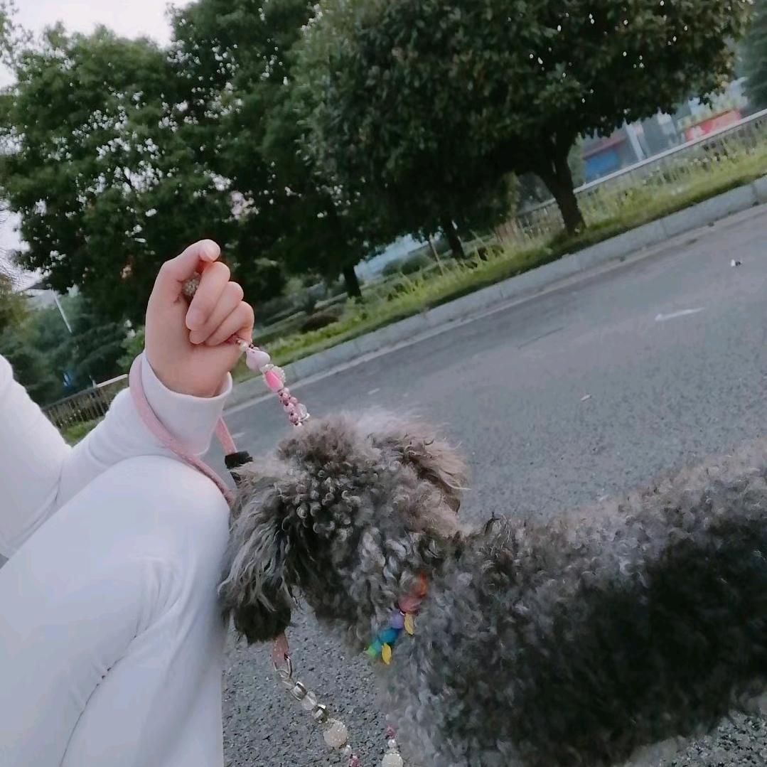 芝麻开门