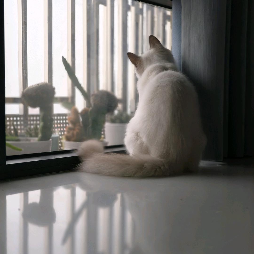(云淡风轻）