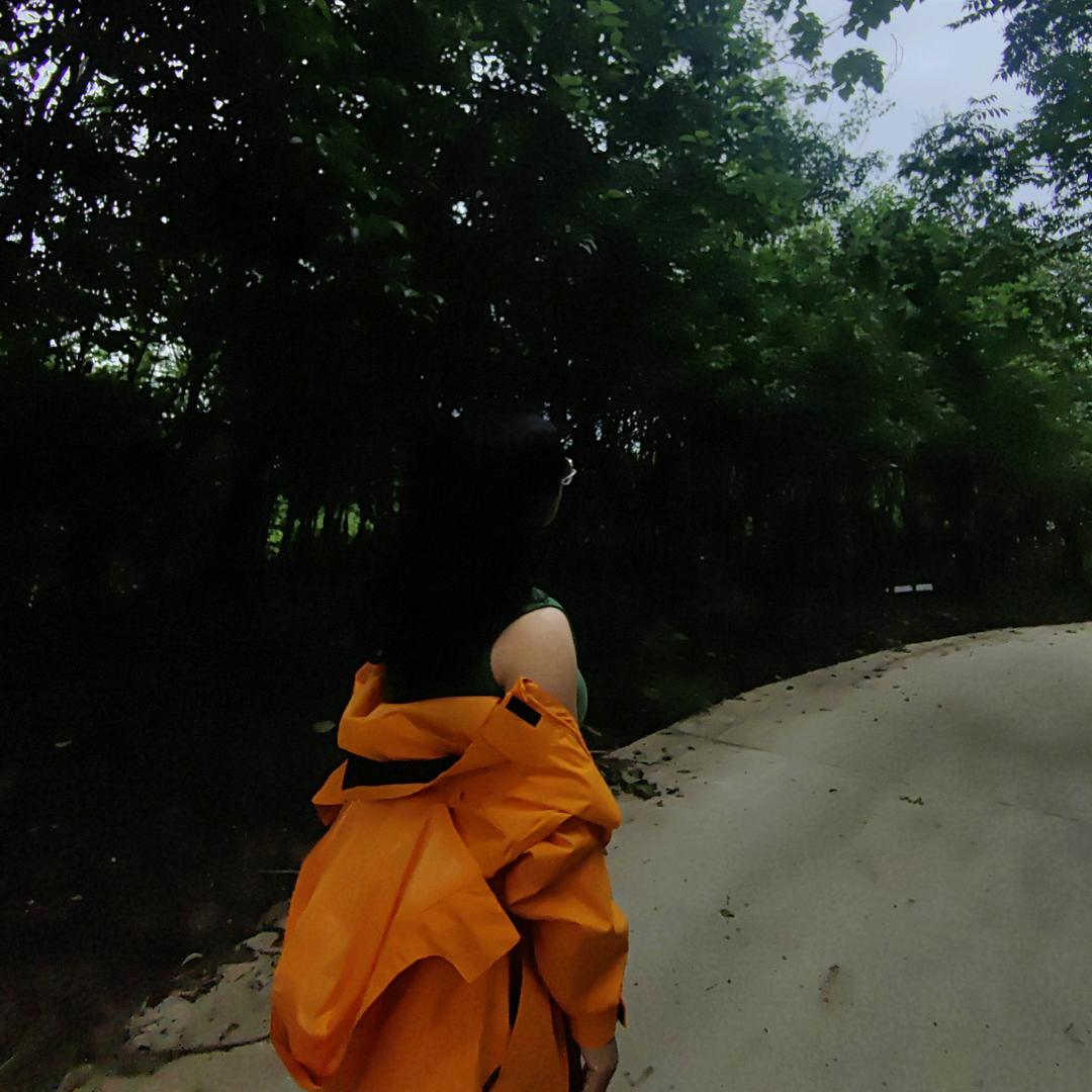 首阳小妹