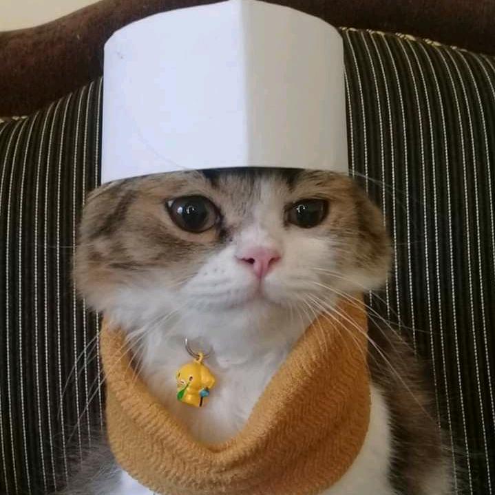 牧心使者