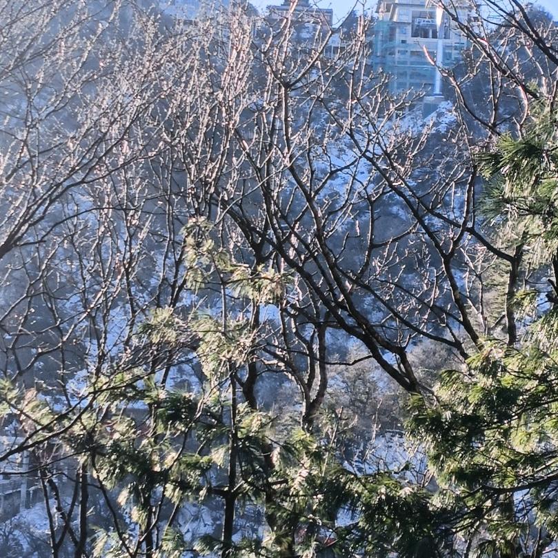 @禹州市建标养殖厂