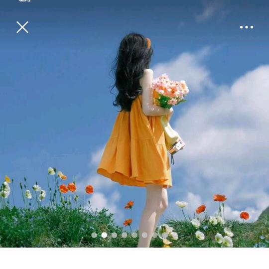 小丑鱼