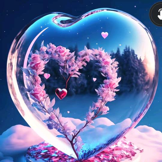小花🌺🌺