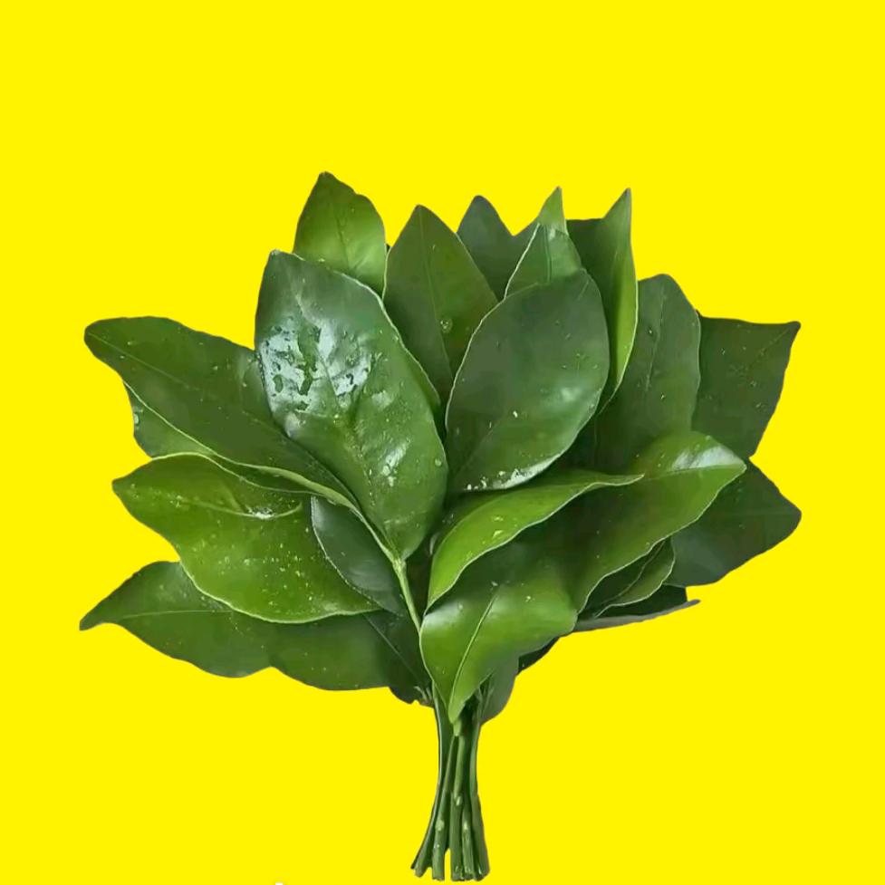 ꧔ꦿ᭄💞眉老板ꩵ༊