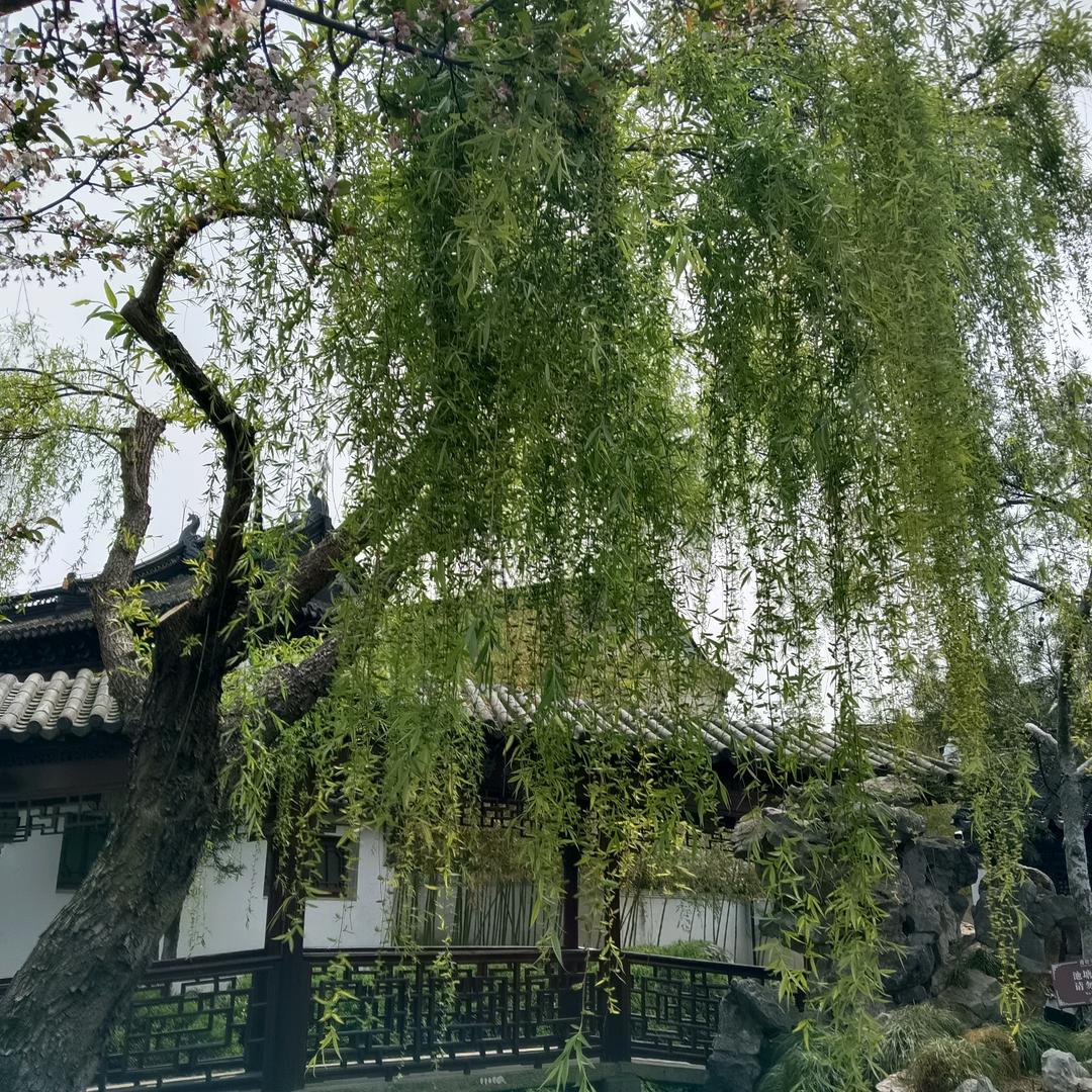 平平淡淡