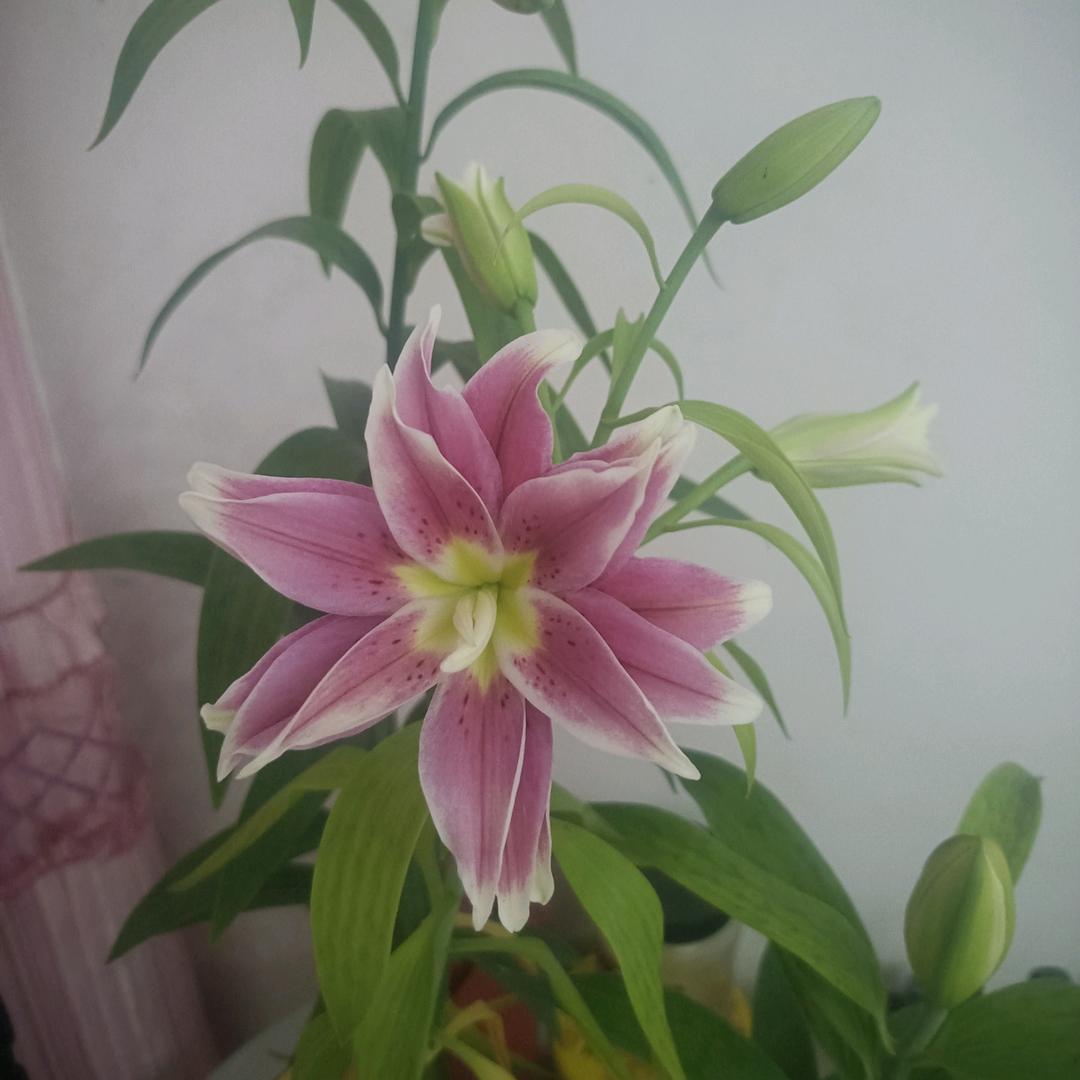 💕南风知我意ℒℴѵℯۣۖ¹³¹⁴？