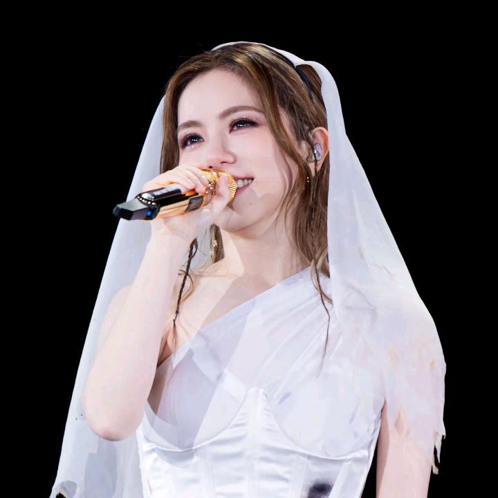 邓解解的粉丝(追星)