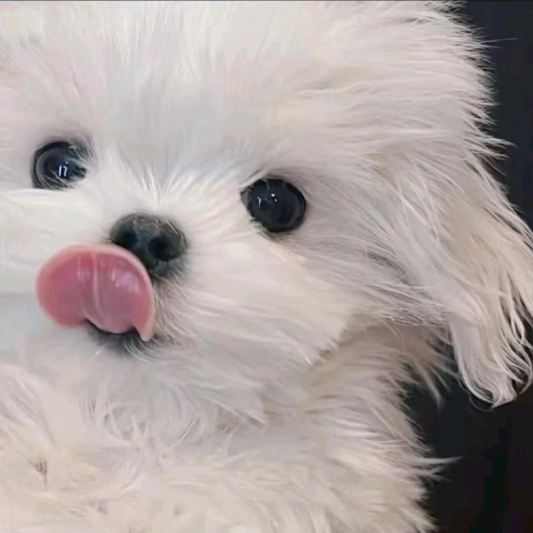 00～