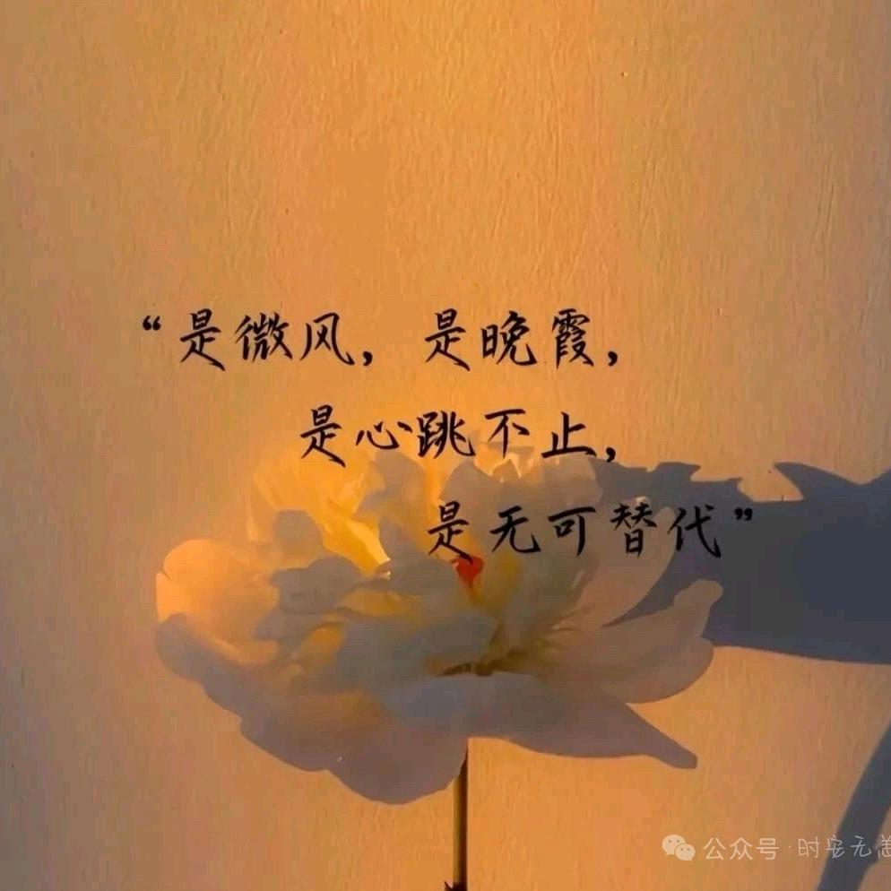 〄҉许你᪵安然༉°