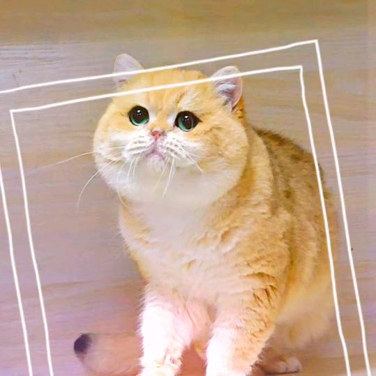 沈阳信润雅克优品小铺