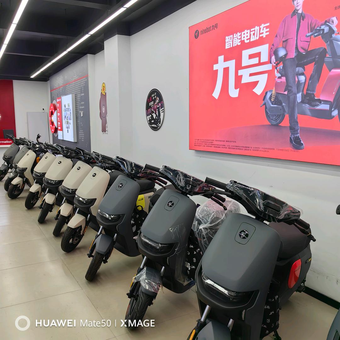 九号电动车（西樵樵乐南路）