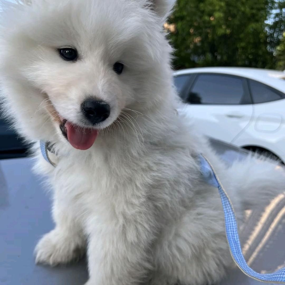 加佳便利店(中央城店)邹浩365直播号