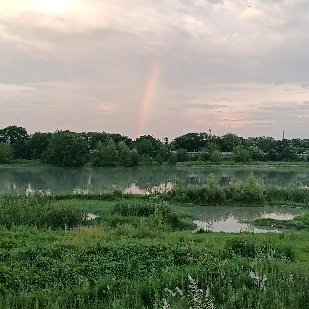 扶落衣得桌捌零