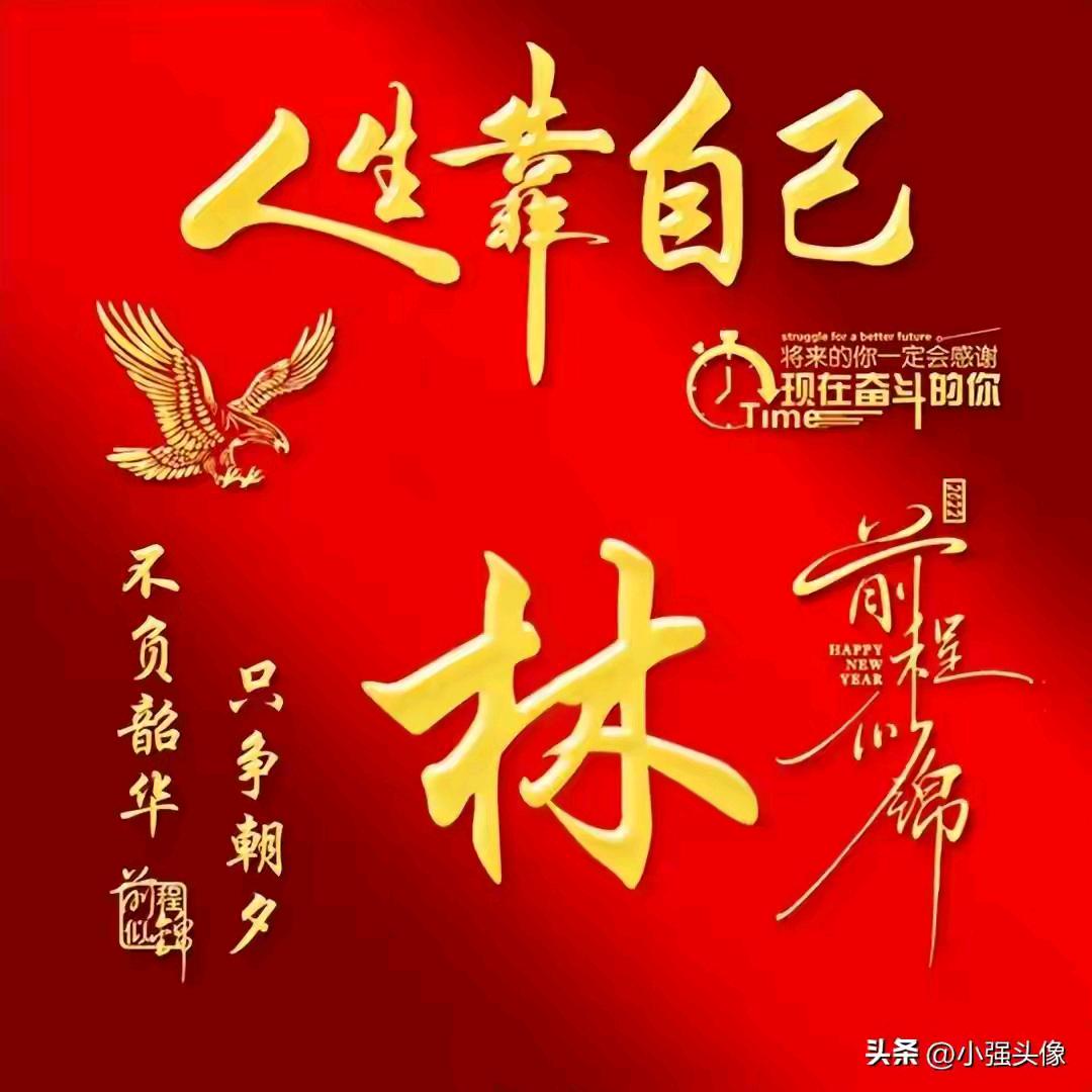 林钢放