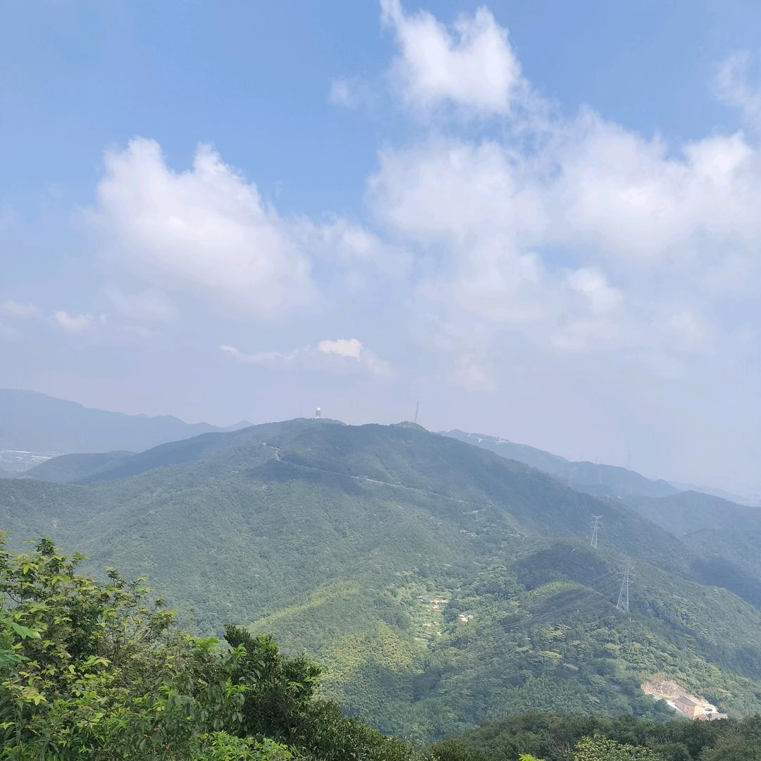 🐏扶摇直上九万里