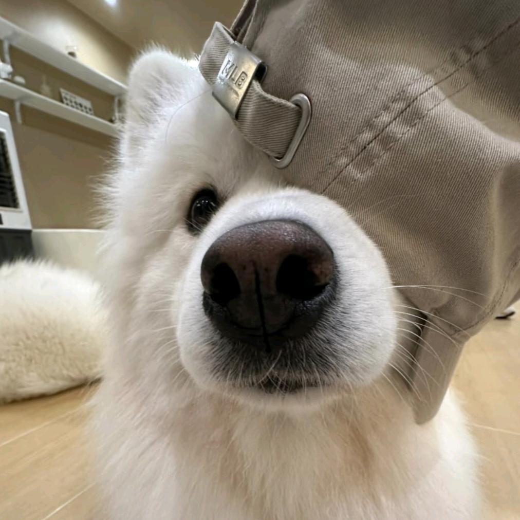 密斯特