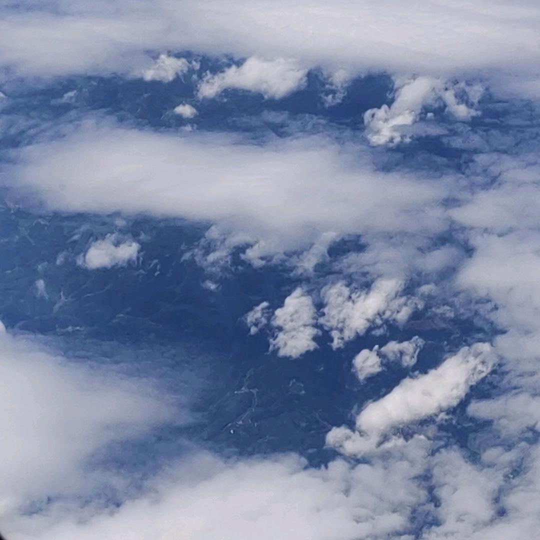 跟我干不出半年就上岸