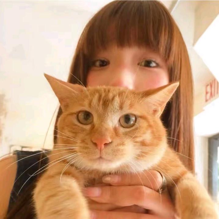 嘻嘻.