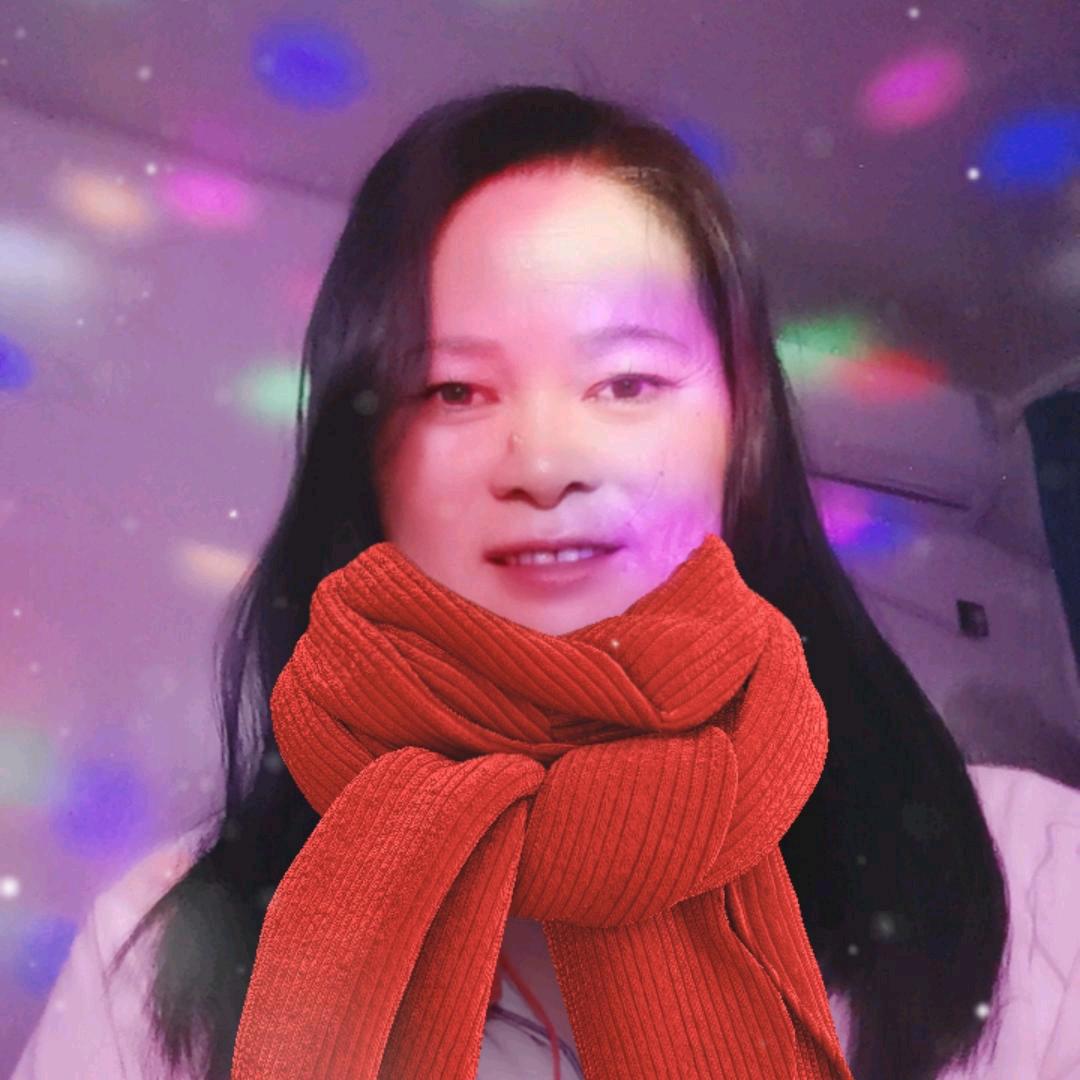 八月桂大号（师傅永远的爱98）7O号