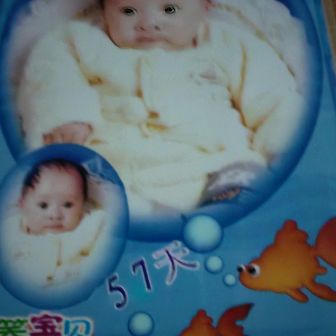 燕燕