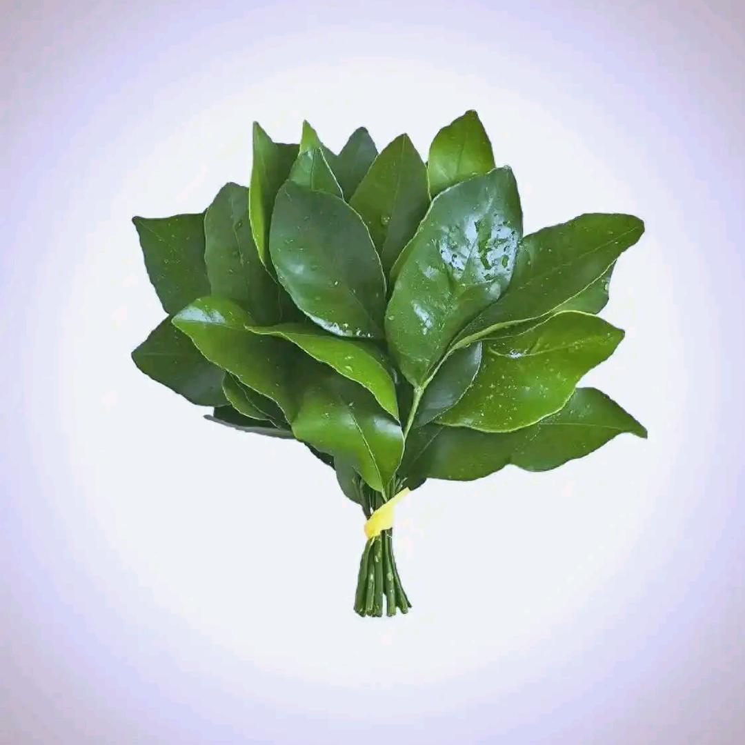 y风轻云淡