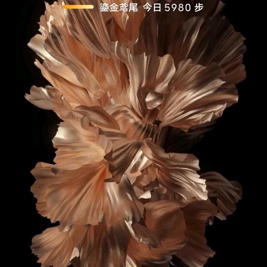 自渡，消化😍