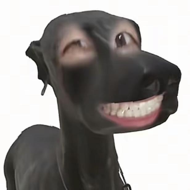 我是糖蛋别惹我