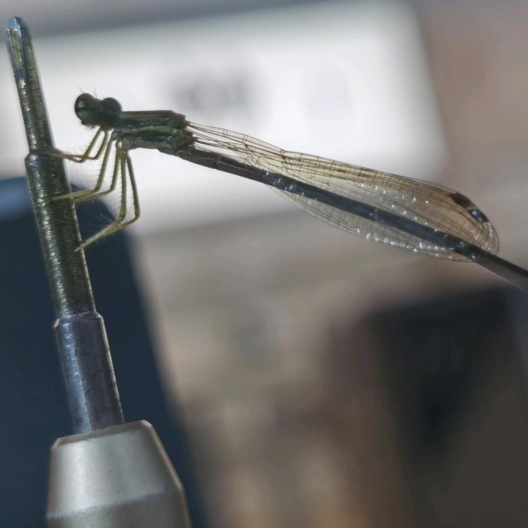 ～～～～～～～～～