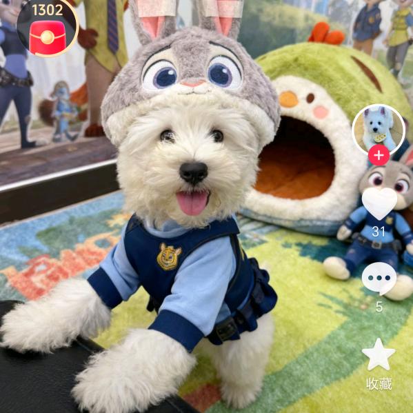 饺子妈妈的亲生儿子