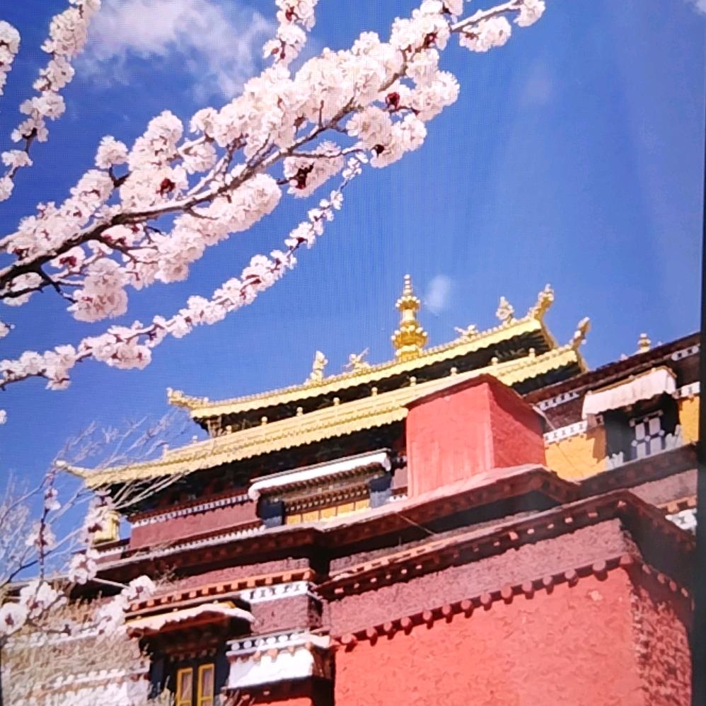 积极向上的生活！！