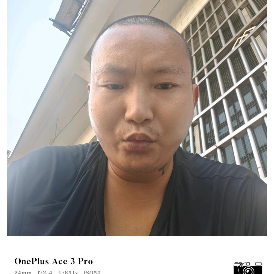 志在飞翔