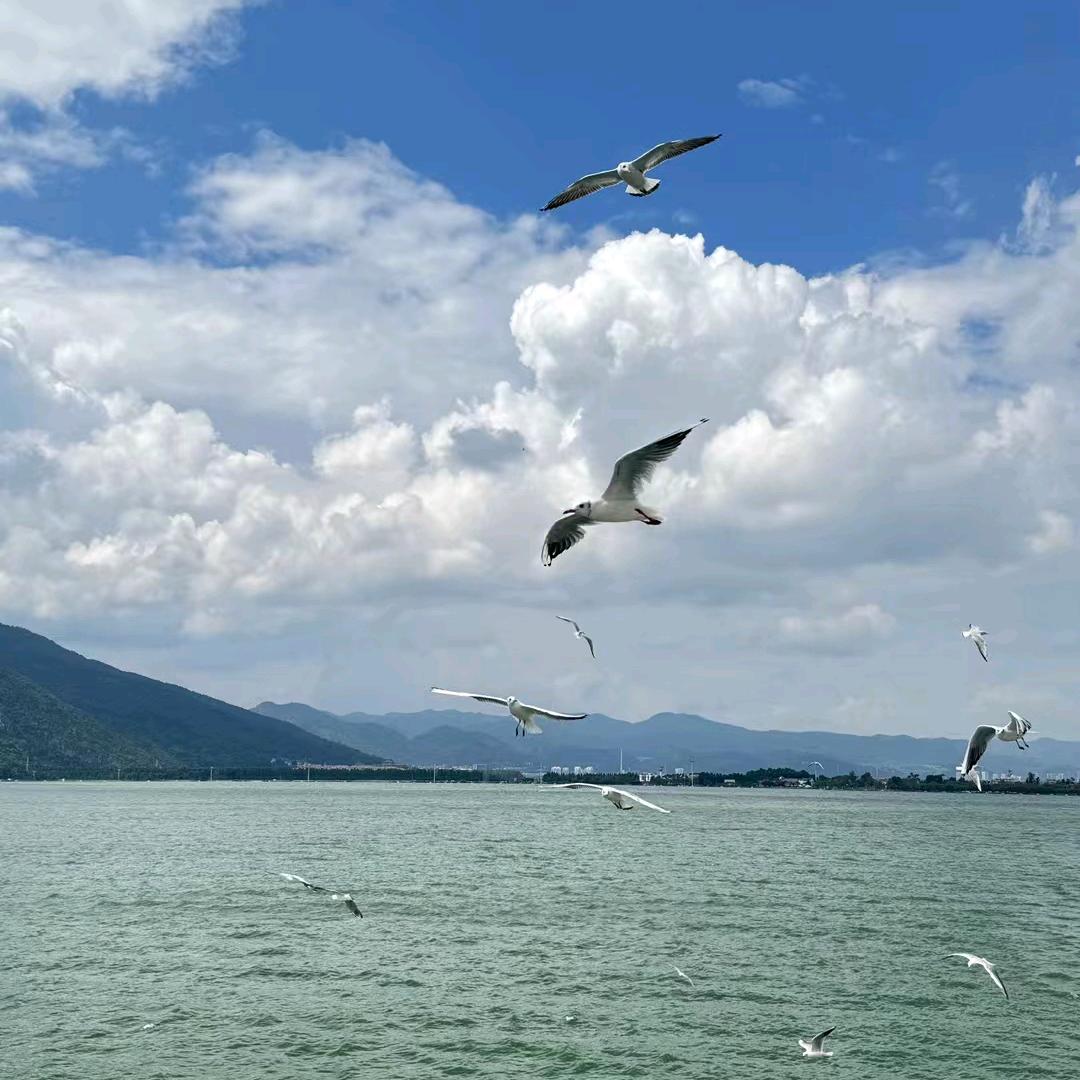 感恩❤️的心