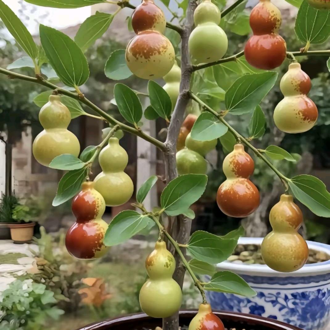 阝東