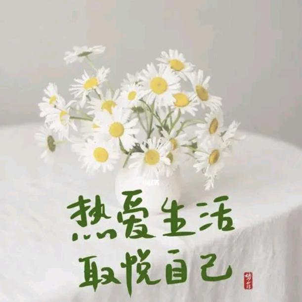 晓杉手工