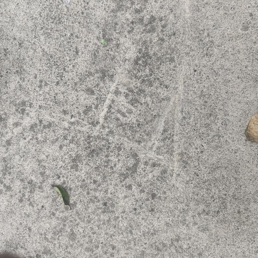 幸未金岸物资回收
