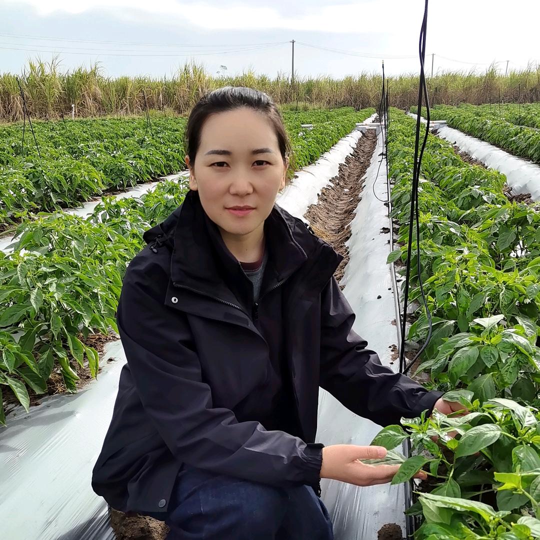 园大头—小方讲辣椒