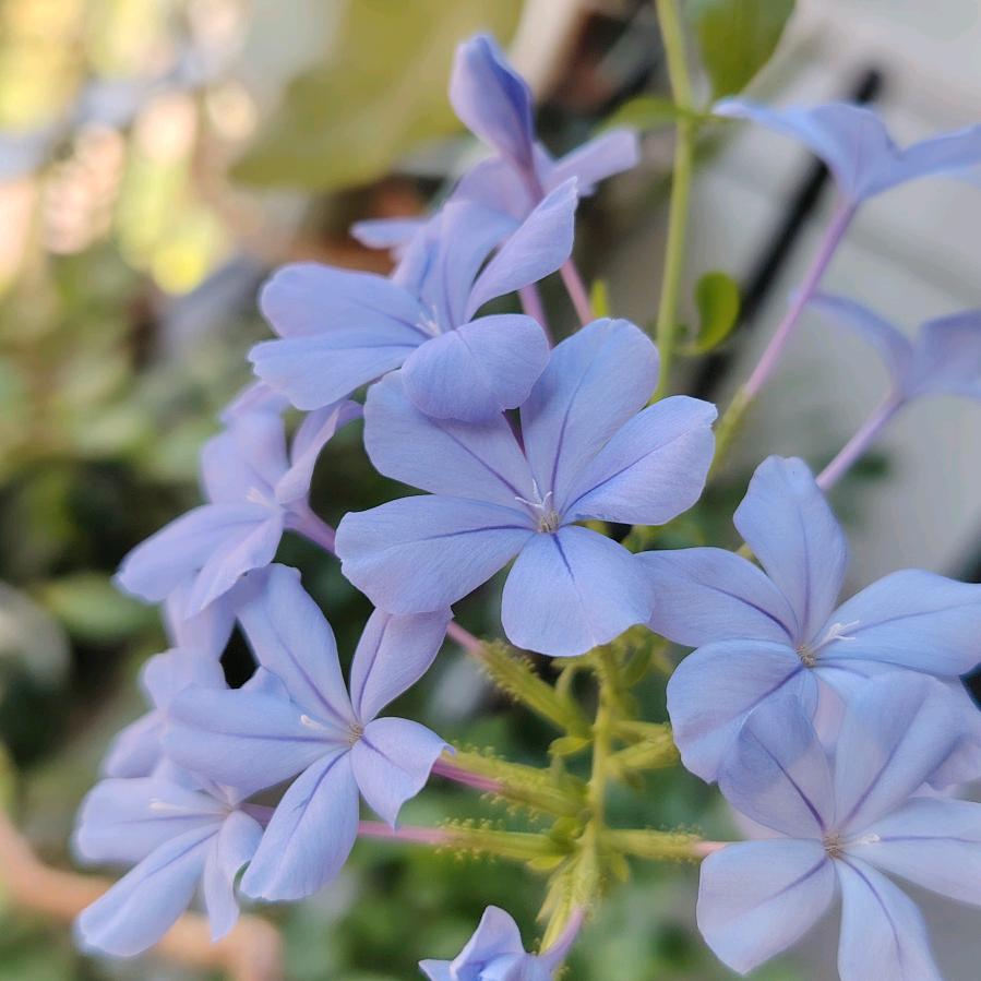 💜妙笔推文